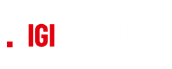 Digipixeline Logo